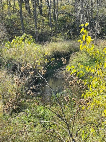 14190 Goldmine, PEARL CITY, Illinois 61062, 2 Bedrooms Bedrooms, ,1 BathroomBathrooms,House,For Sale,Goldmine,202400135