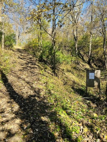 14190 Goldmine, PEARL CITY, Illinois 61062, 2 Bedrooms Bedrooms, ,1 BathroomBathrooms,House,For Sale,Goldmine,202400135