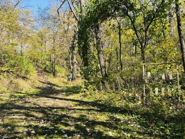 14190 Goldmine, PEARL CITY, Illinois 61062, 2 Bedrooms Bedrooms, ,1 BathroomBathrooms,House,For Sale,Goldmine,202400135