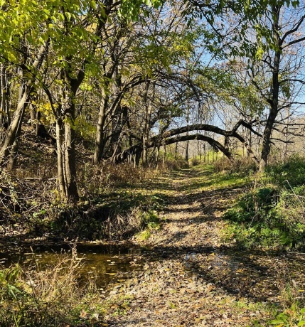 14190 Goldmine, PEARL CITY, Illinois 61062, 2 Bedrooms Bedrooms, ,1 BathroomBathrooms,House,For Sale,Goldmine,202400135