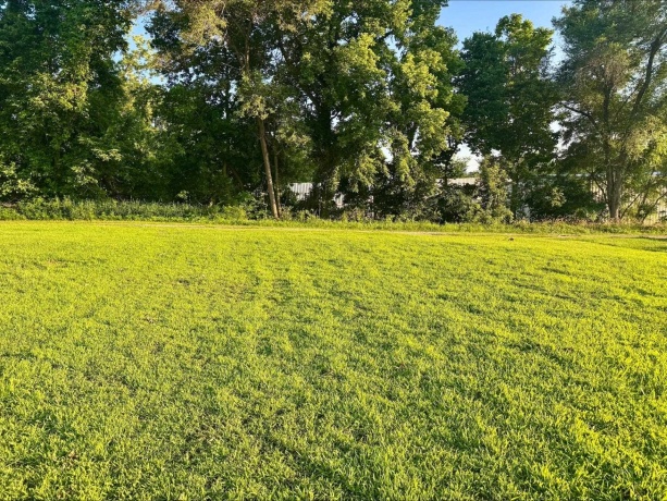 1611 Portland, SAVANNA, Illinois 61074, ,Land,For Sale,Portland,202504115