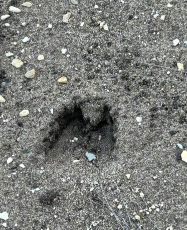 A-1306 31st, HANOVER, Illinois 61041, ,Land,For Sale,31st,202504120