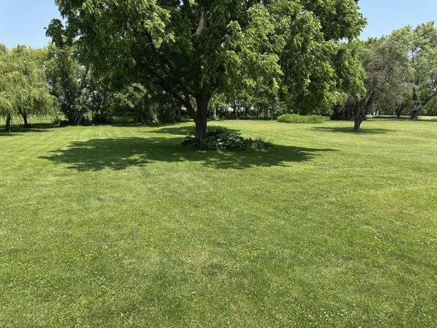 25115 Locust, LANARK, Illinois 61046, 3 Bedrooms Bedrooms, ,1 BathroomBathrooms,House,For Sale,Locust,202406200