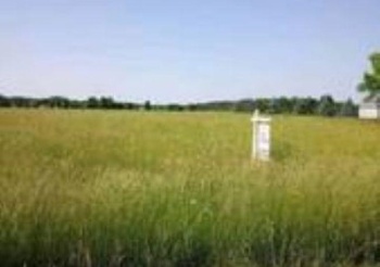 1389 1759th Rd, Streator, Illinois 61364, ,Land,For Sale,1759th Rd,202504145