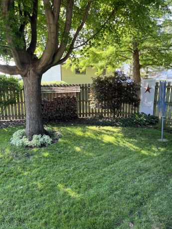 231 Willis, STOCKTON, Illinois 61085, 4 Bedrooms Bedrooms, ,3 BathroomsBathrooms,House,For Sale,Willis,202504153