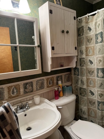 231 Willis, STOCKTON, Illinois 61085, 4 Bedrooms Bedrooms, ,3 BathroomsBathrooms,House,For Sale,Willis,202504153