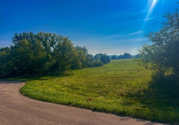17-81 Clearwater, LAKE CARROLL, Illinois 61046, ,Land,For Sale,Clearwater,202504173
