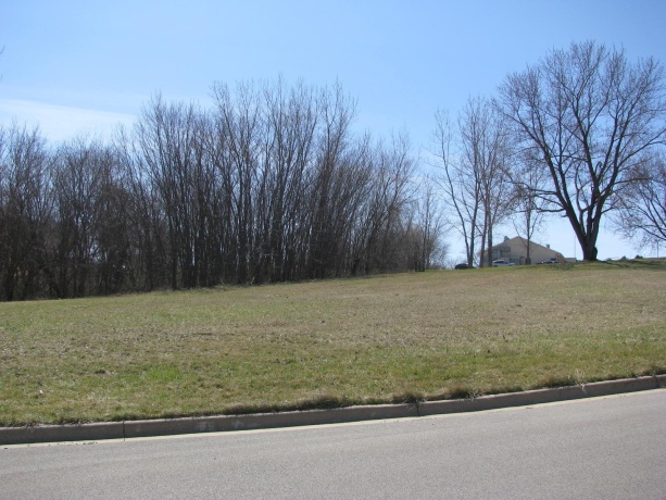 TBD Oldenburg, GALENA, Illinois 61036, ,Commercial Land,For Sale,Oldenburg,202504175