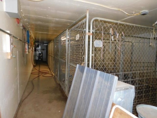 3976 Rotary, ROCKFORD, Illinois 61109, 3 Bedrooms Bedrooms, ,1 BathroomBathrooms,House,For Sale,Rotary,202504217