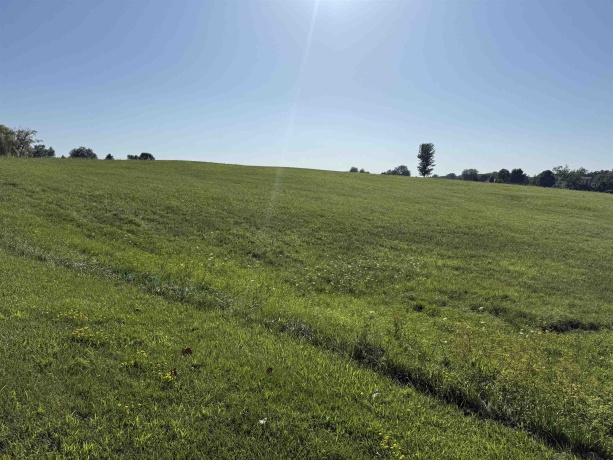 24-110 Lake Carroll, LAKE CARROLL, Illinois 61046, ,Land,For Sale,Lake Carroll,202504292