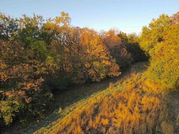 000 Mountain, FREEPORT, Illinois 61032, ,Land,For Sale,Mountain,202504344