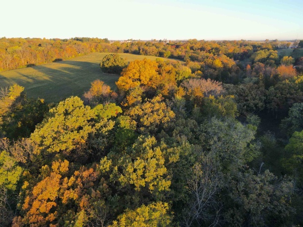 000 Mountain, FREEPORT, Illinois 61032, ,Land,For Sale,Mountain,202504344