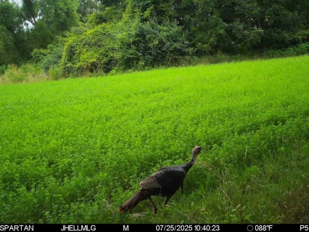 000 Mountain, FREEPORT, Illinois 61032, ,Land,For Sale,Mountain,202504344