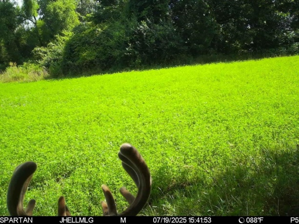 000 Mountain, FREEPORT, Illinois 61032, ,Land,For Sale,Mountain,202504344