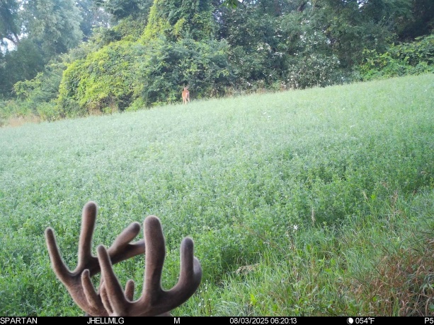 000 Mountain, FREEPORT, Illinois 61032, ,Land,For Sale,Mountain,202504344