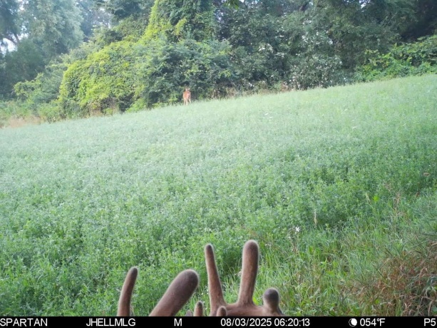 000 Mountain, FREEPORT, Illinois 61032, ,Land,For Sale,Mountain,202504344