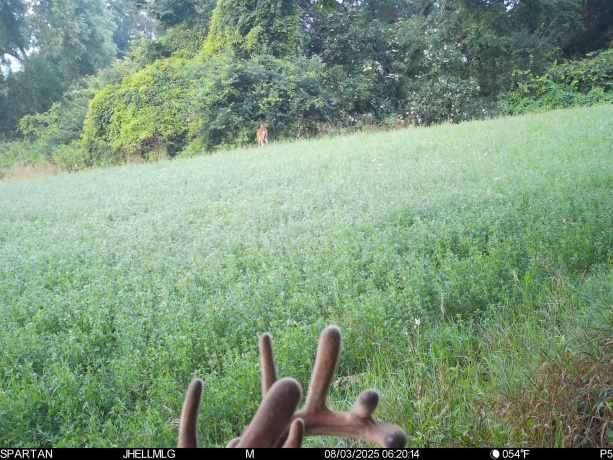 000 Mountain, FREEPORT, Illinois 61032, ,Land,For Sale,Mountain,202504344