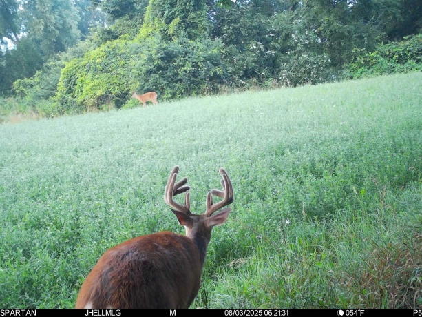 000 Mountain, FREEPORT, Illinois 61032, ,Land,For Sale,Mountain,202504344