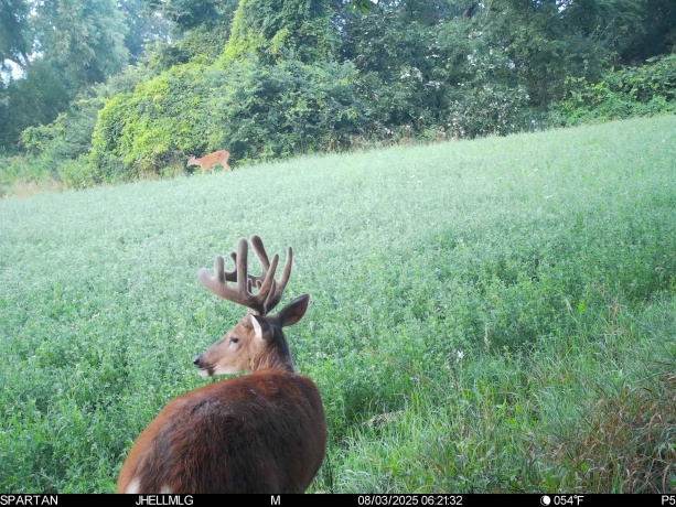 000 Mountain, FREEPORT, Illinois 61032, ,Land,For Sale,Mountain,202504344