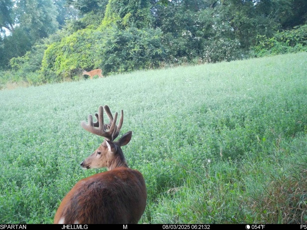 000 Mountain, FREEPORT, Illinois 61032, ,Land,For Sale,Mountain,202504344