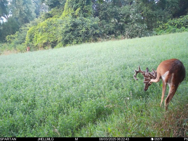 000 Mountain, FREEPORT, Illinois 61032, ,Land,For Sale,Mountain,202504344