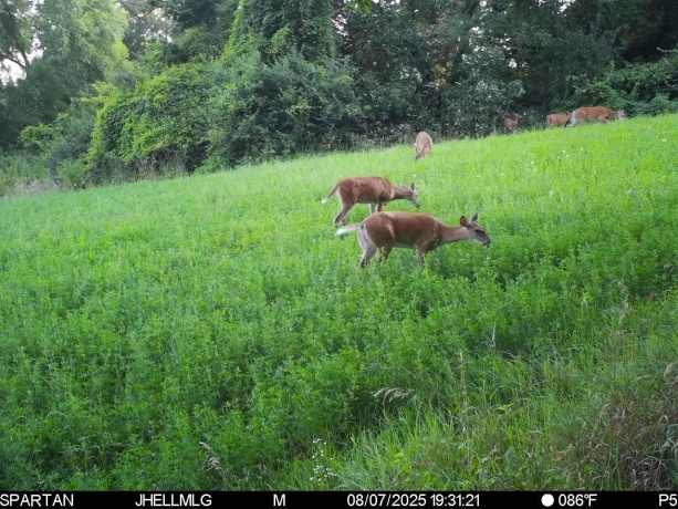 000 Mountain, FREEPORT, Illinois 61032, ,Land,For Sale,Mountain,202504344