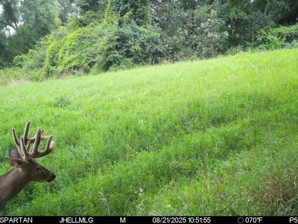 000 Mountain, FREEPORT, Illinois 61032, ,Land,For Sale,Mountain,202504344