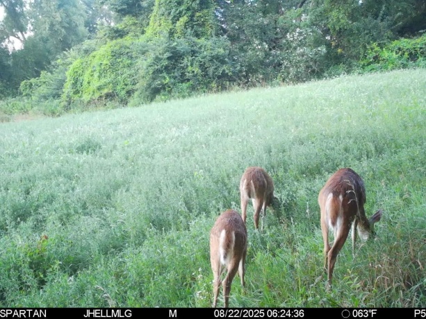 000 Mountain, FREEPORT, Illinois 61032, ,Land,For Sale,Mountain,202504344