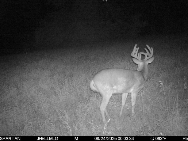 000 Mountain, FREEPORT, Illinois 61032, ,Land,For Sale,Mountain,202504344