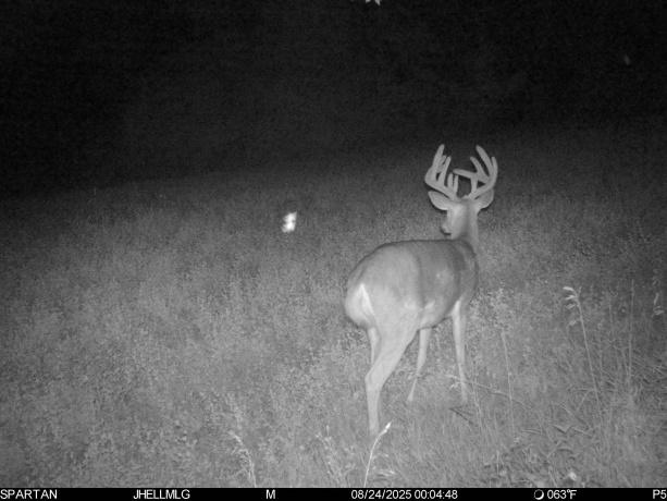 000 Mountain, FREEPORT, Illinois 61032, ,Land,For Sale,Mountain,202504344