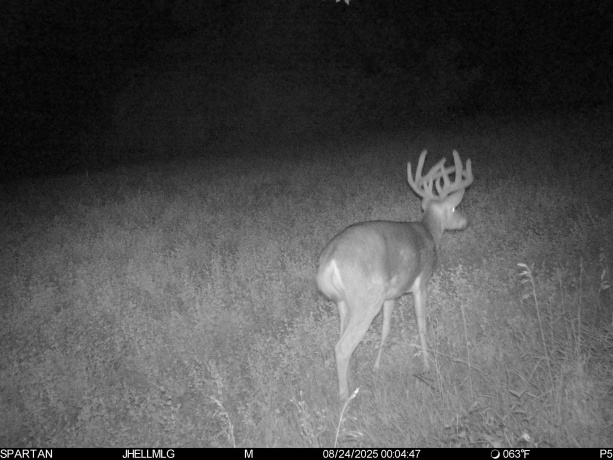 000 Mountain, FREEPORT, Illinois 61032, ,Land,For Sale,Mountain,202504344