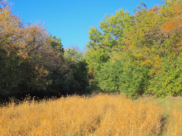 000 Mountain, FREEPORT, Illinois 61032, ,Land,For Sale,Mountain,202504344