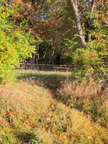 000 Mountain, FREEPORT, Illinois 61032, ,Land,For Sale,Mountain,202504344