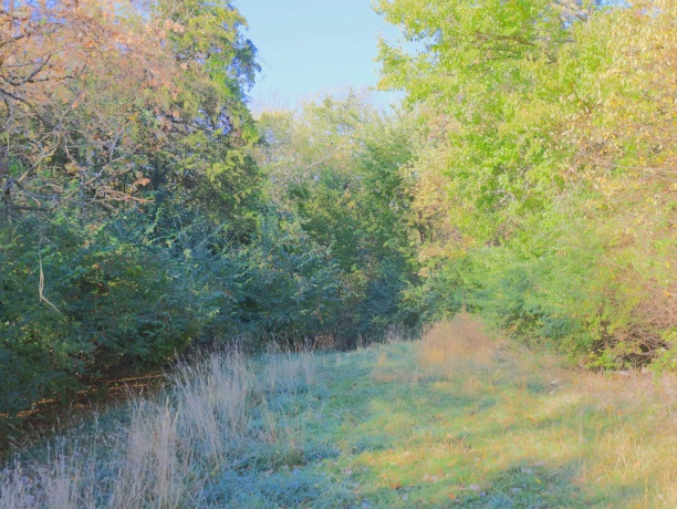 000 Mountain, FREEPORT, Illinois 61032, ,Land,For Sale,Mountain,202504344