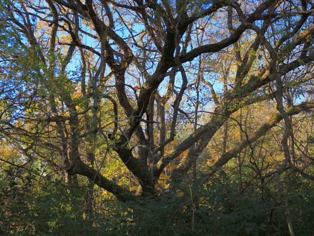 000 Mountain, FREEPORT, Illinois 61032, ,Land,For Sale,Mountain,202504344