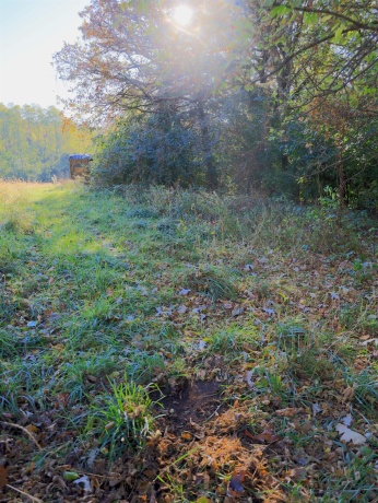 000 Mountain, FREEPORT, Illinois 61032, ,Land,For Sale,Mountain,202504344