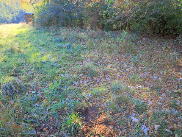 000 Mountain, FREEPORT, Illinois 61032, ,Land,For Sale,Mountain,202504344