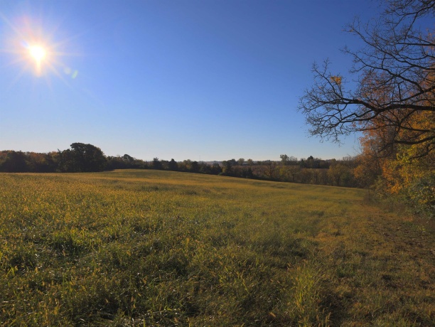 000 Mountain, FREEPORT, Illinois 61032, ,Land,For Sale,Mountain,202504344