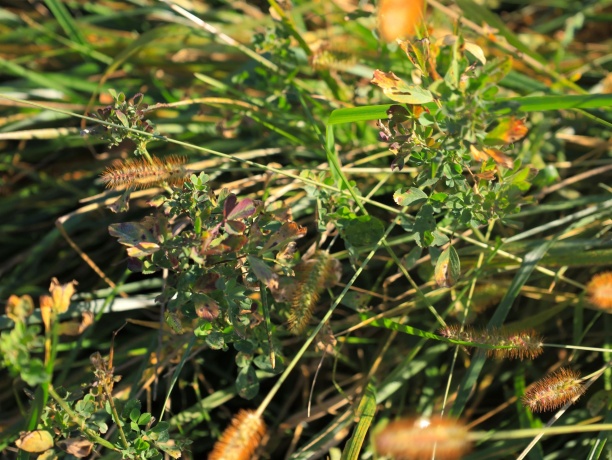 000 Mountain, FREEPORT, Illinois 61032, ,Land,For Sale,Mountain,202504344