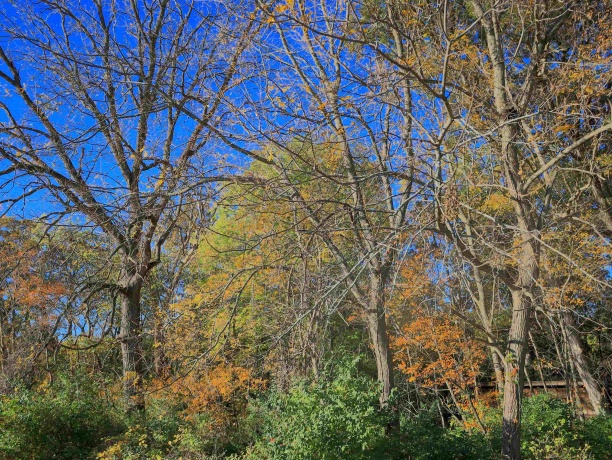 000 Mountain, FREEPORT, Illinois 61032, ,Land,For Sale,Mountain,202504344