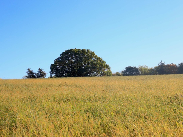 000 Mountain, FREEPORT, Illinois 61032, ,Land,For Sale,Mountain,202504344