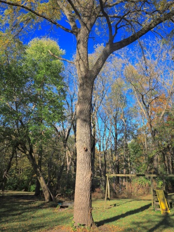 000 Mountain, FREEPORT, Illinois 61032, ,Land,For Sale,Mountain,202504344