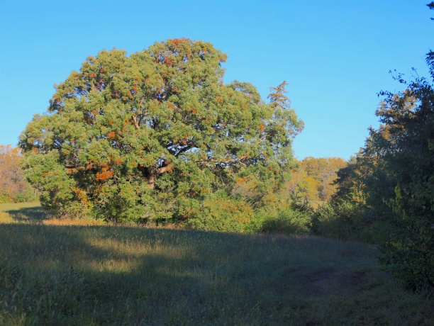 000 Mountain, FREEPORT, Illinois 61032, ,Land,For Sale,Mountain,202504344