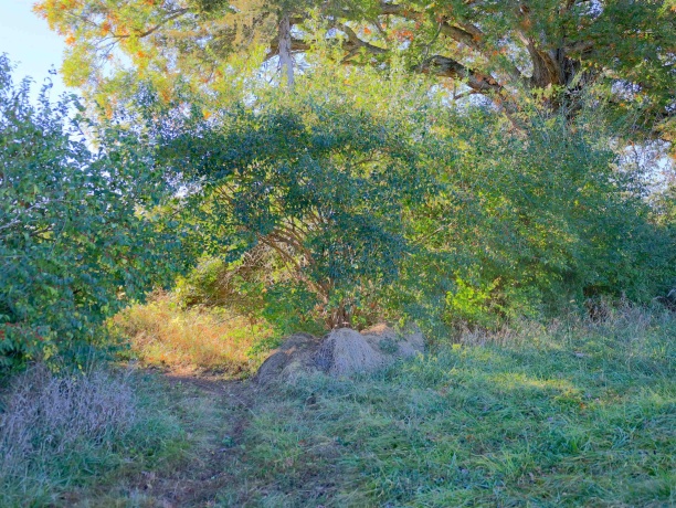 000 Mountain, FREEPORT, Illinois 61032, ,Land,For Sale,Mountain,202504344