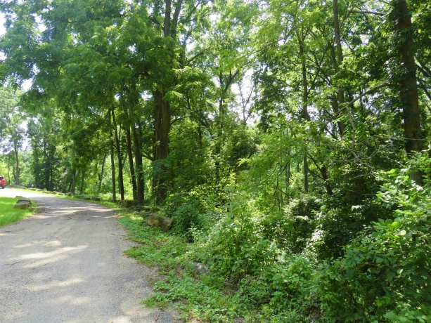 923 West Street, GALENA, Illinois 61036, 4 Bedrooms Bedrooms, ,2 BathroomsBathrooms,House,For Sale,West Street,202504348