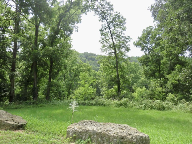 923 West Street, GALENA, Illinois 61036, 4 Bedrooms Bedrooms, ,2 BathroomsBathrooms,House,For Sale,West Street,202504348