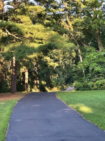 2373 Geddes, ROCKFORD, Illinois 61103, 3 Bedrooms Bedrooms, ,2 BathroomsBathrooms,House,For Sale,Geddes,202504409