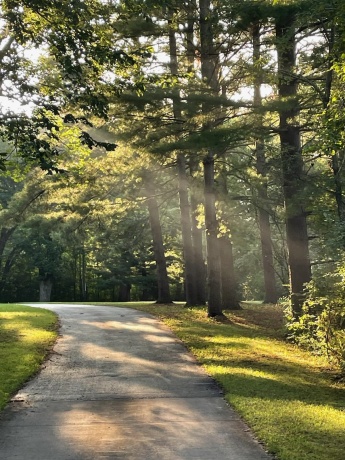 2373 Geddes, ROCKFORD, Illinois 61103, 3 Bedrooms Bedrooms, ,2 BathroomsBathrooms,House,For Sale,Geddes,202504409