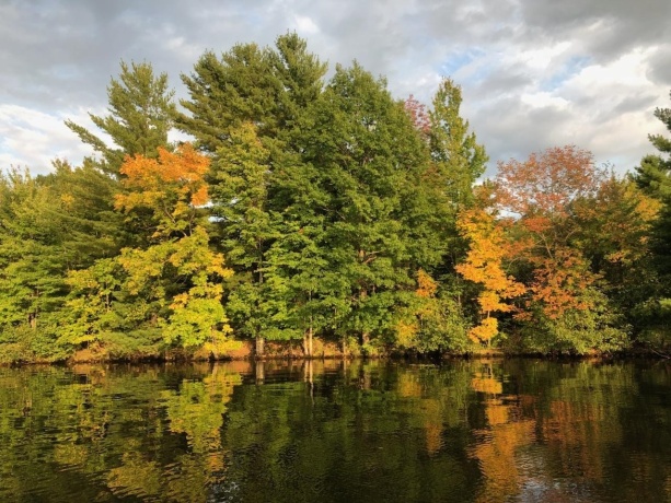 2373 Geddes, ROCKFORD, Illinois 61103, 3 Bedrooms Bedrooms, ,2 BathroomsBathrooms,House,For Sale,Geddes,202504409