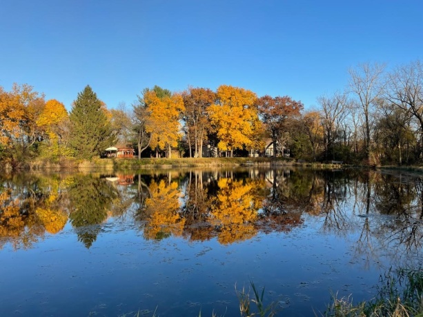 2373 Geddes, ROCKFORD, Illinois 61103, 3 Bedrooms Bedrooms, ,2 BathroomsBathrooms,House,For Sale,Geddes,202504409